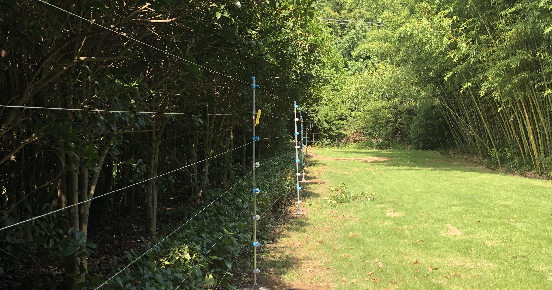 上海实发电子高端玩球网页版，守护上海崇明滨江隔离酒店，为社会面全面清零助力