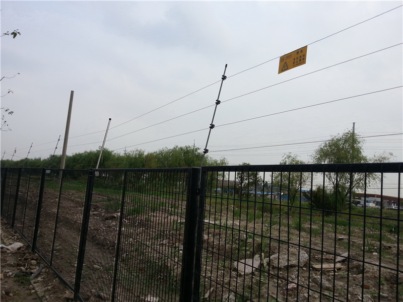 四线玩球网页版示意图